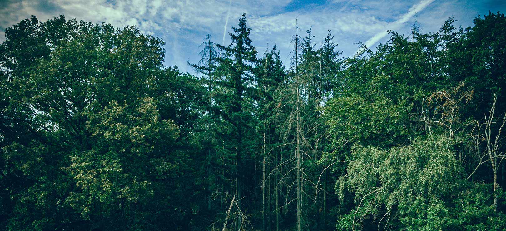 Yueqing Chenggong Tools Co., Ltd.